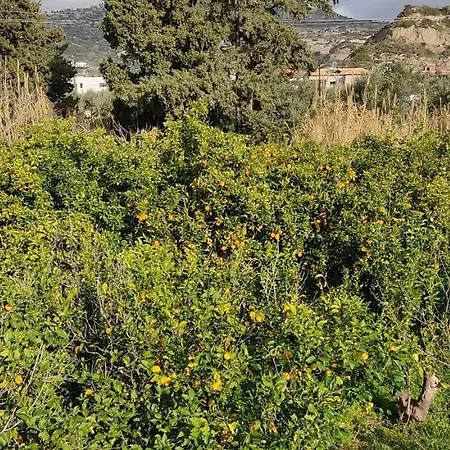 Bouvegio Vera * Afantou