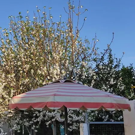 Διαμέρισμα Bouvegio Vera